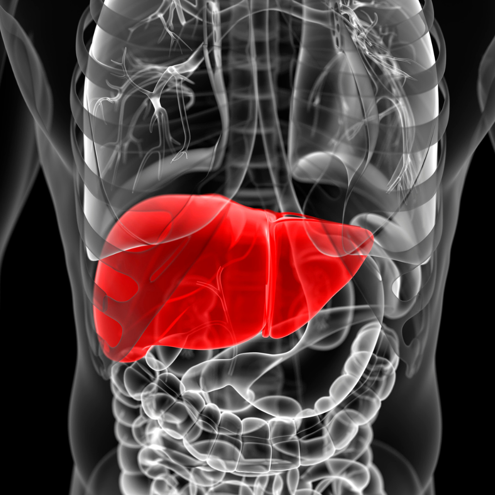 9 Day Liver Rescue Detox Protocol